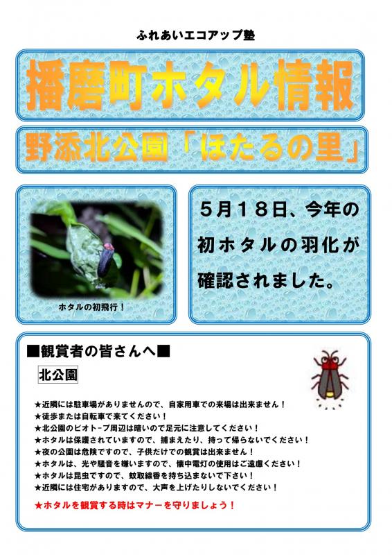 hotaru8_1