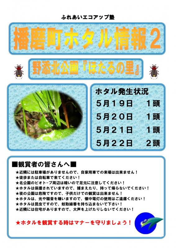 hotaru8_2