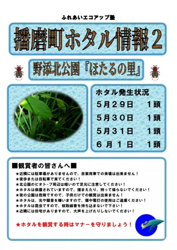 hotaru7_2